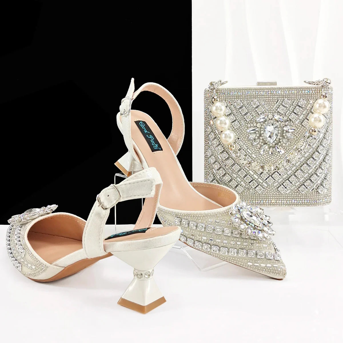 Hot Matching Women Shoe and Bag Set HFG1-1