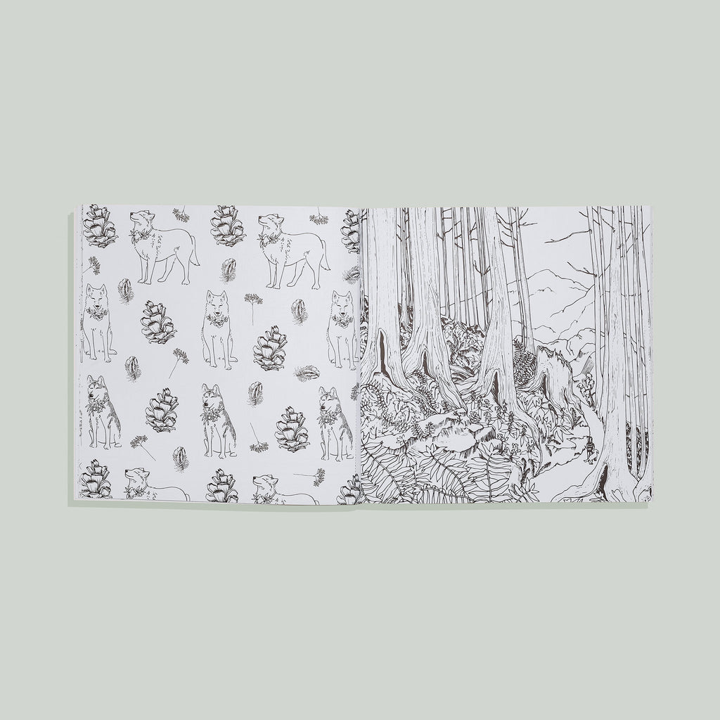 The Plant Lady